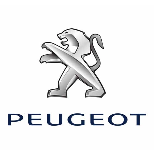dich-vu-xe-peugeot-phan-mem-so-1